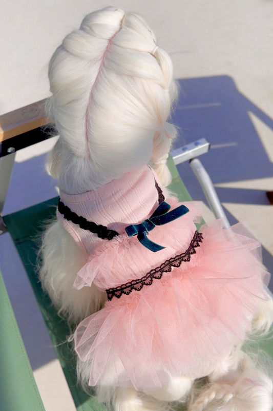 Pink Cropped Bustier Tutu