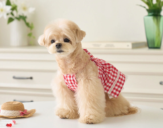 Picnic Love Bustier - Red Check