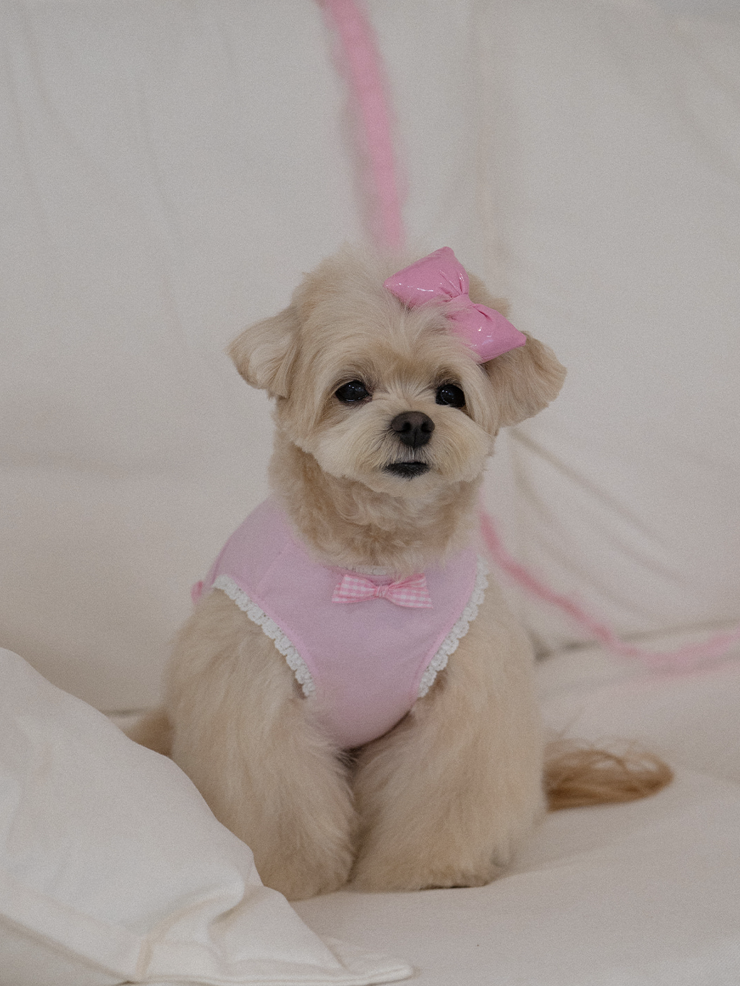 My Favorite Color Sleeveless - Pink