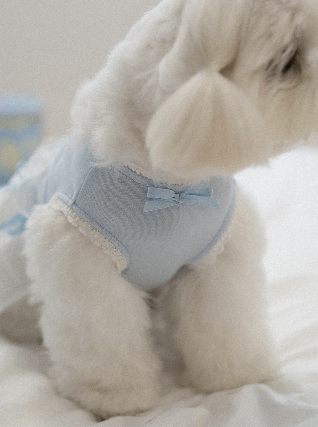 My Favorite Color Ops - Baby Blue