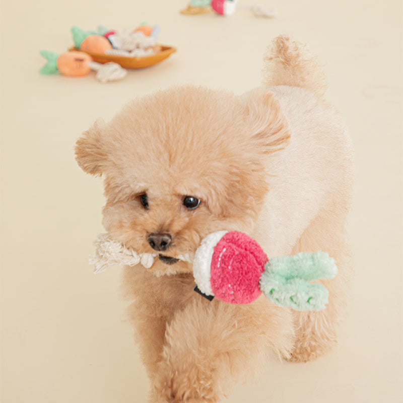 Root Vegetable Tug Toy