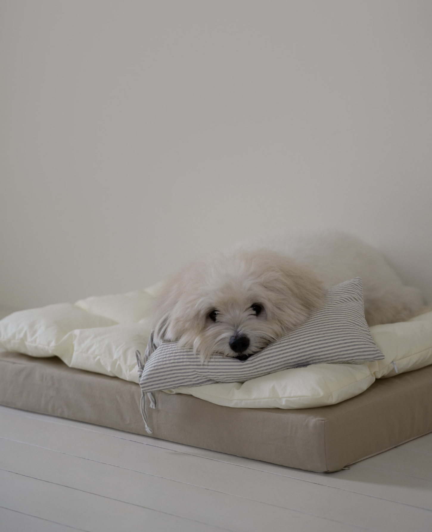 Square Bedding Set Lemon