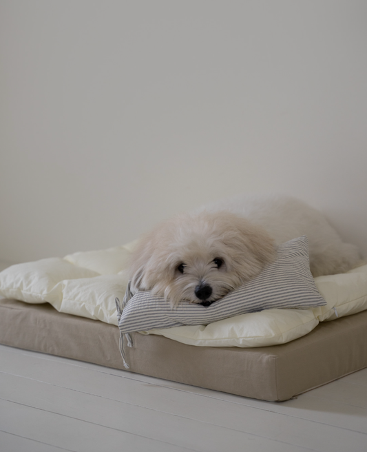 Square Bedding Set Lemon