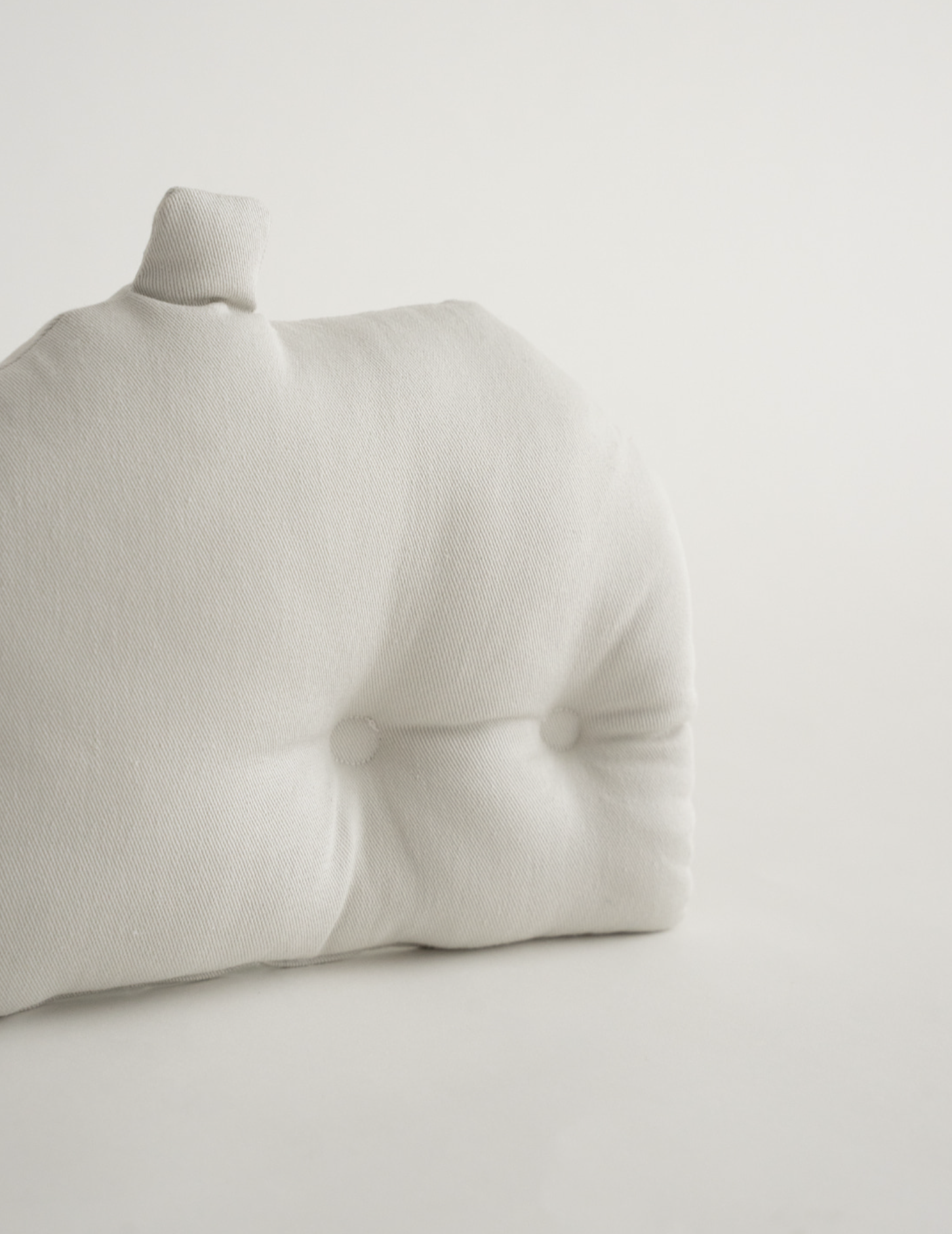 Soft House Cushion