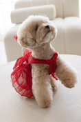 Load image into Gallery viewer, Yuhwa Hanbok Dress
