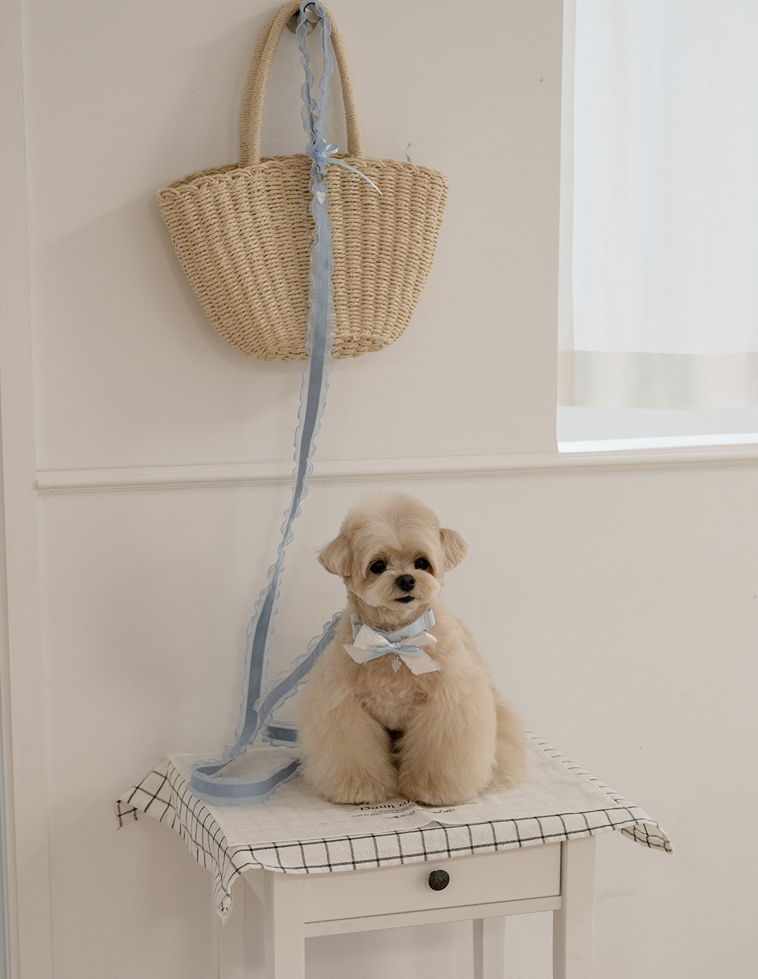 My Favorite Color Leash - Baby Blue