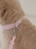 Load image into Gallery viewer, My Favorite Color Collar - Pink

