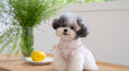 Load image into Gallery viewer, Heart ribbon hair pin (2 colors)
