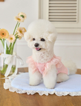 Load image into Gallery viewer, Irene Frill Top - Peach Pink
