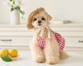 Load image into Gallery viewer, Picnic Love Bustier - Red Check
