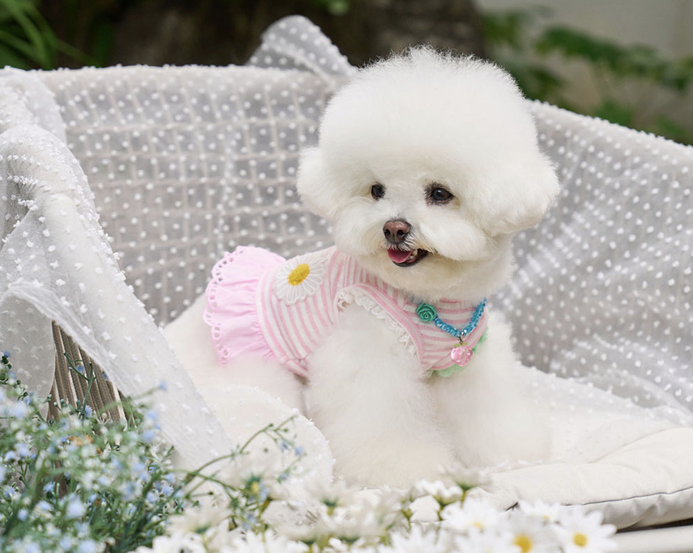 Daisy Stripe Ops - Baby Pink