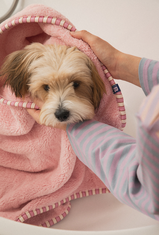 Bite Me x Finca Dry Me Microfibre Pet Towel