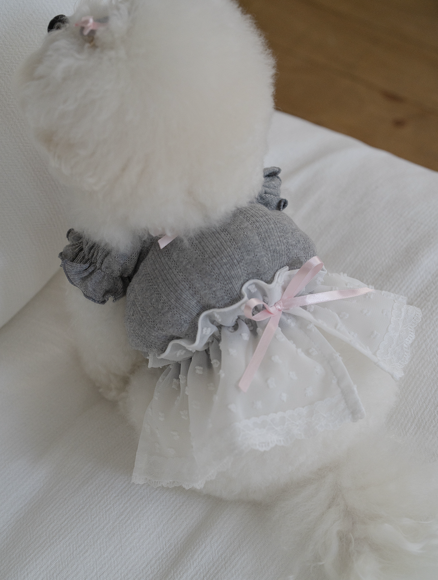 Gray Ballerina Chiffon Skirt