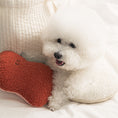 Load image into Gallery viewer, BonBon Green My Home Buddy Cushion
