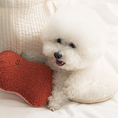 BonBon Green My Home Buddy Cushion
