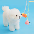 Load image into Gallery viewer, Catch Me Tug Fishing Rod Toy
