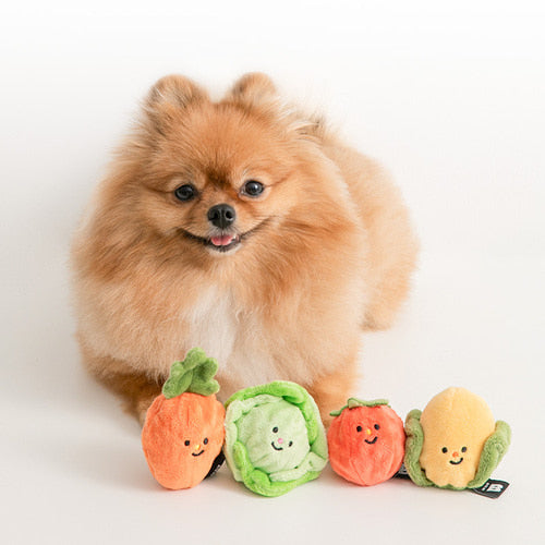 Vegetable Ball Toy