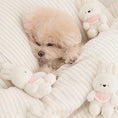 Load image into Gallery viewer, SSFW My Bestie Toy
