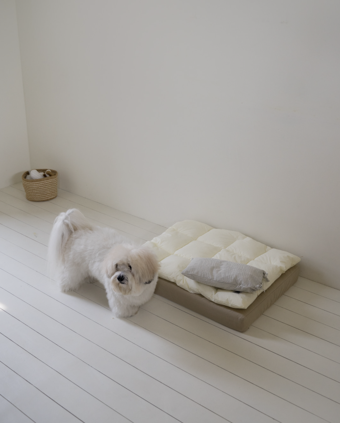 Square Bedding Set Lemon