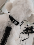 Load image into Gallery viewer, My Favorite Color Leash - Black
