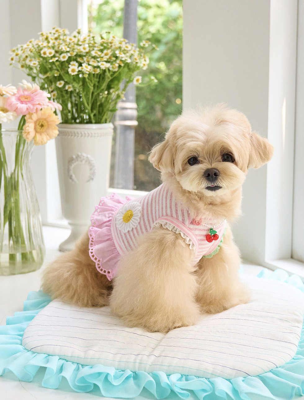 Daisy Stripe Ops - Baby Pink