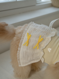 Load image into Gallery viewer, My Favorite Color Ops - Yellow

