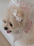 Load image into Gallery viewer, Ballerina Lace Ribbon Hairpin
