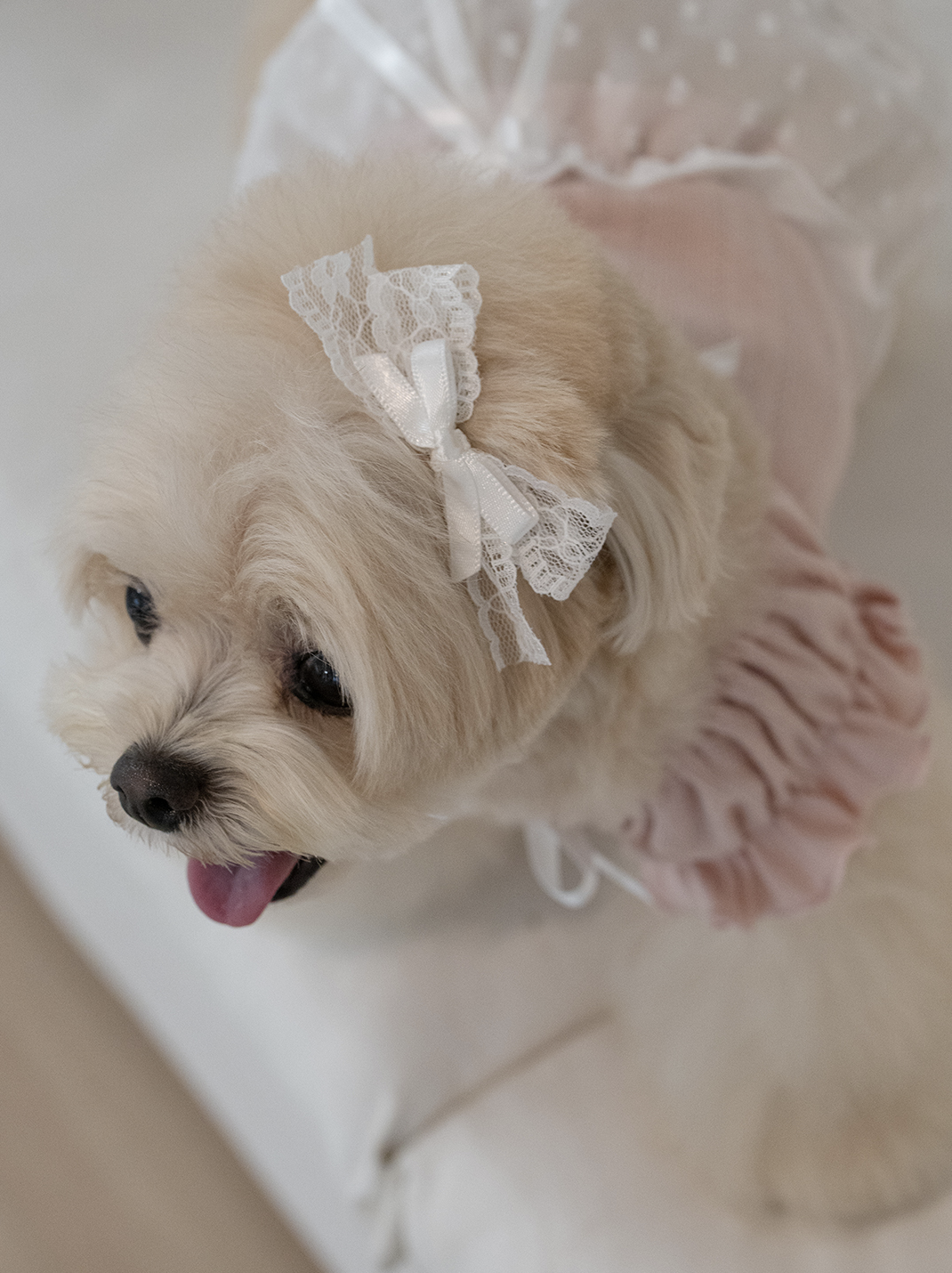 Ballerina Lace Ribbon Hairpin