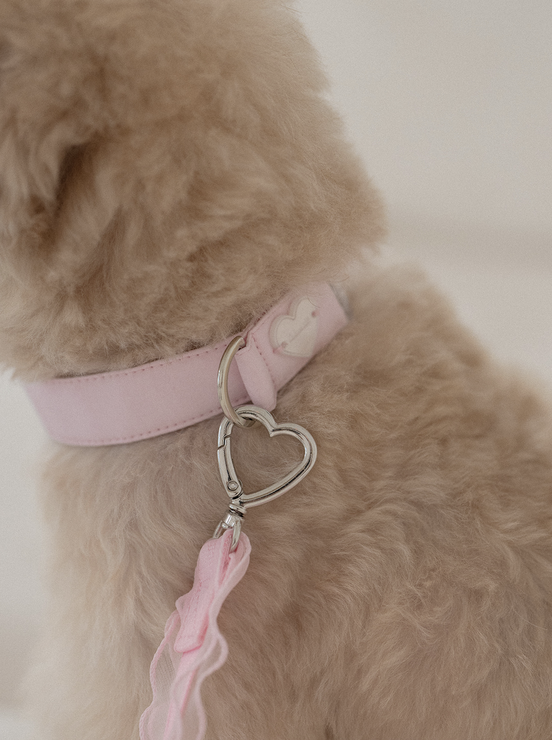 My Favorite Color Leash - Pink