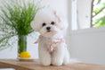Load image into Gallery viewer, Heart ribbon hair pin (2 colors)
