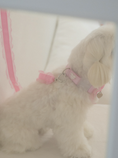 Load image into Gallery viewer, My Favorite Color Collar - Pink
