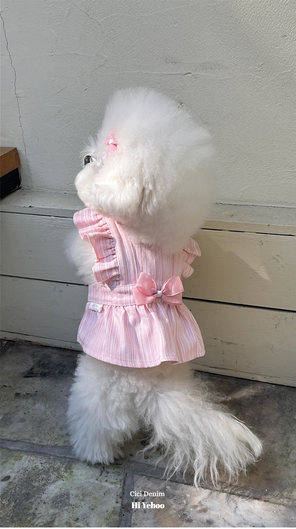 Pink Cici Denim