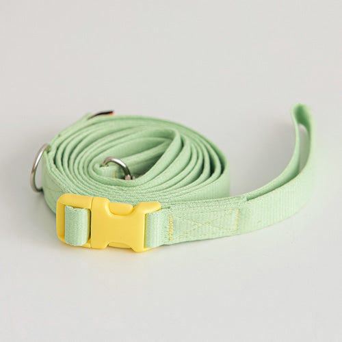 Candy Crayon Leash