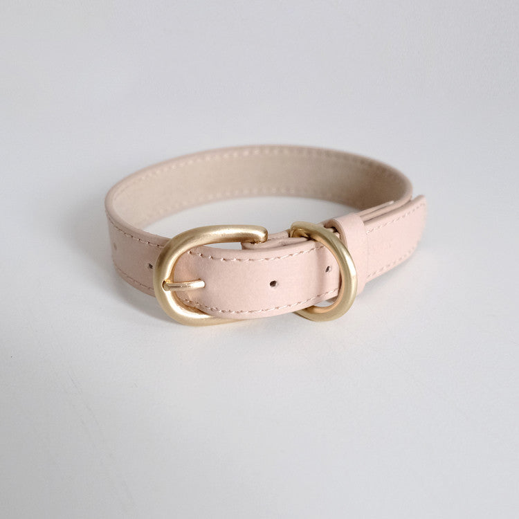 H Dog Collar