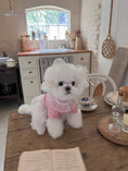 Load image into Gallery viewer, Iris Cape Collar Ops - Pink
