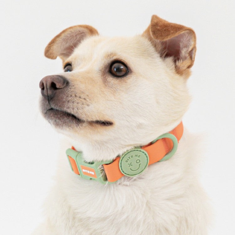 Waterproof Collar (Macaron)