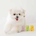 Load image into Gallery viewer, Little Jelly Bear Latex Toy
