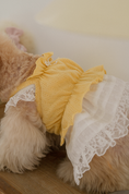 Load image into Gallery viewer, Jambon Beurre Bustier
