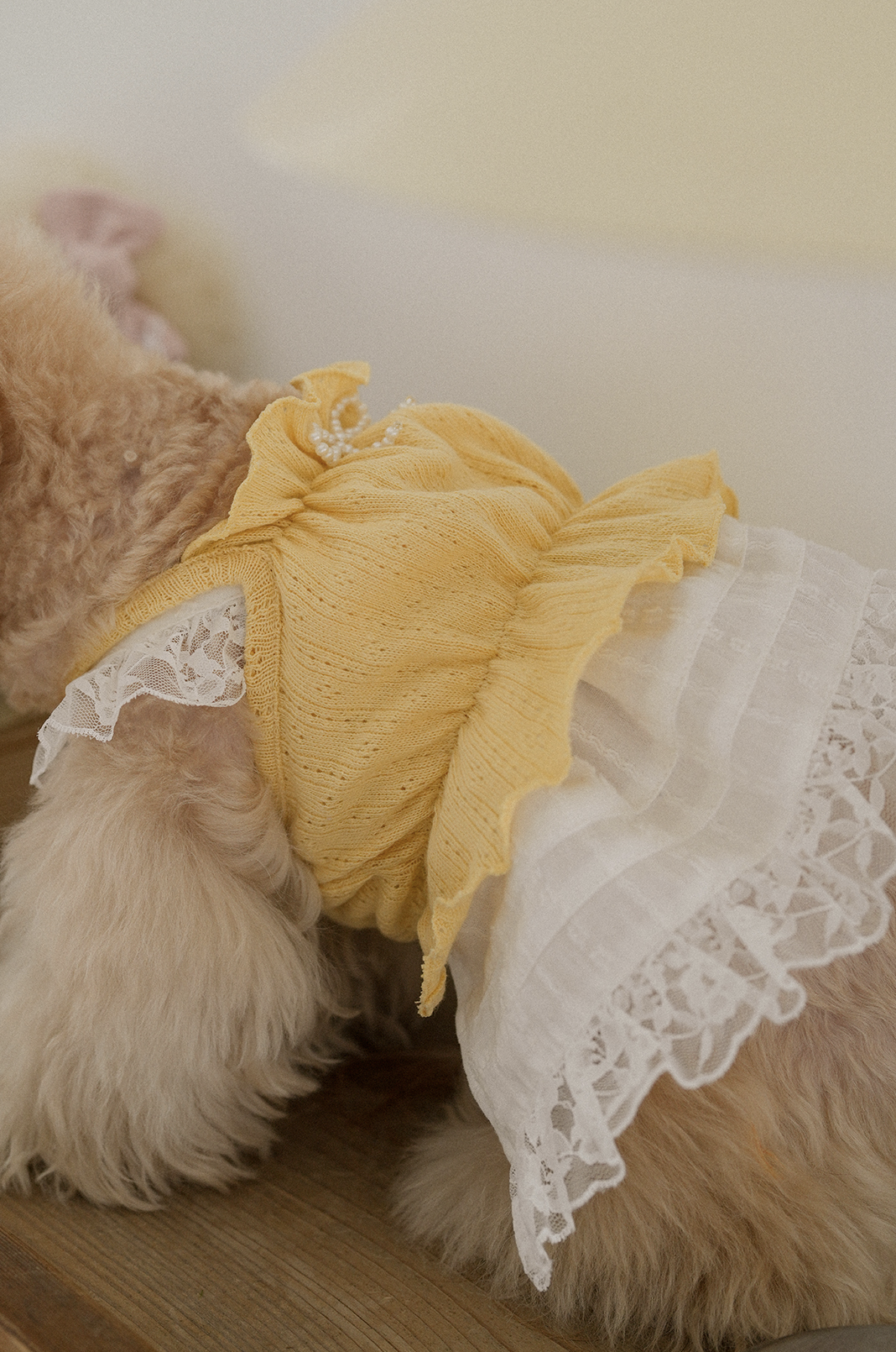 Jambon Beurre Bustier