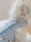 Load image into Gallery viewer, My Favorite Color Collar - Baby Blue
