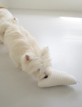 Load image into Gallery viewer, Stripe Cloud Cushion
