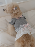 Load image into Gallery viewer, Gray Ballerina Chiffon Skirt
