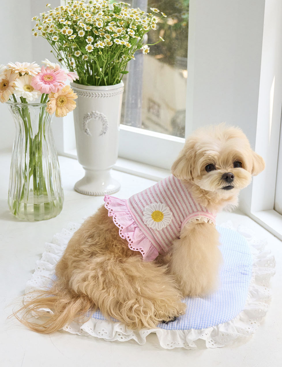 Daisy Stripe Ops - Baby Pink