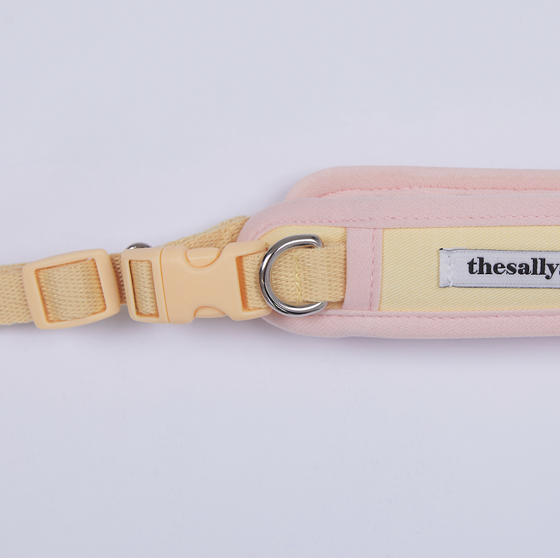 Vanilla Pink Cushioning Two Way Leash