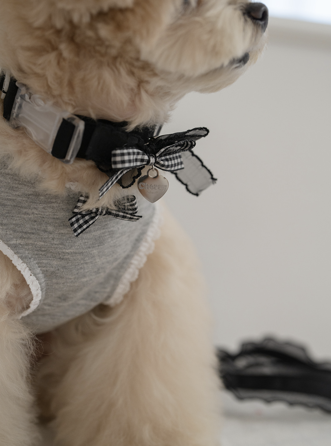 My Favorite Color Collar - Black
