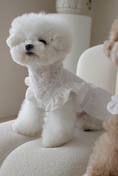 Load image into Gallery viewer, Baekhwa Hanbok Blouse
