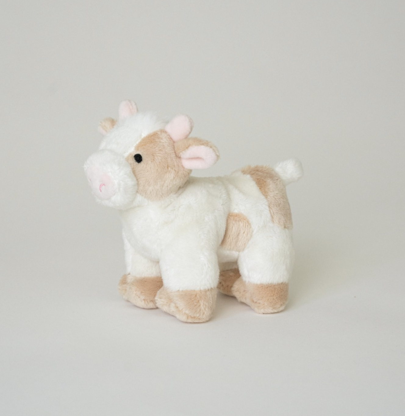 Buddy Toy