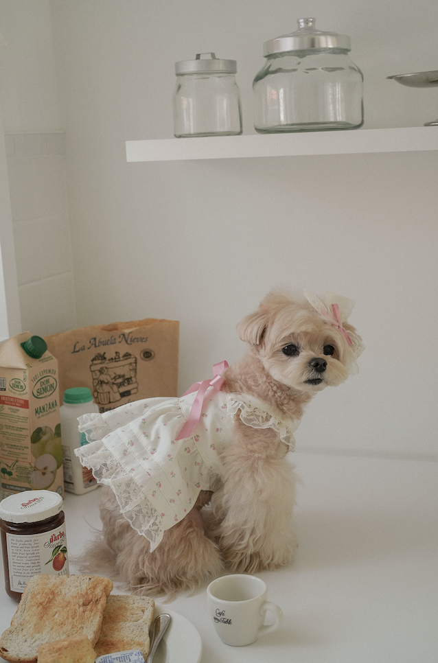 Maison De Monet Lace Ribbon Dress