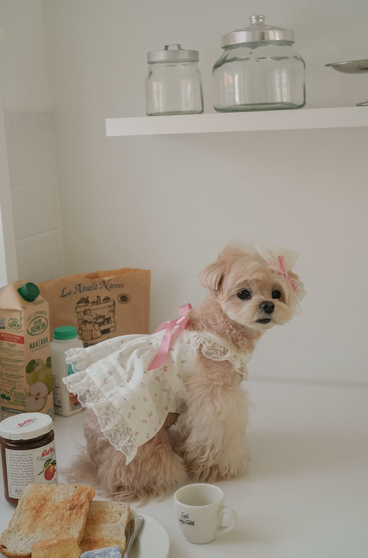 Maison De Monet Lace Ribbon Dress