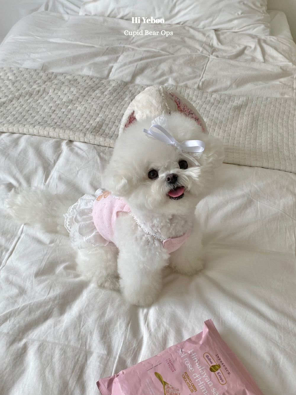 Cupid Bear Ops